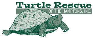 Turtle Rescue of the Hamptons